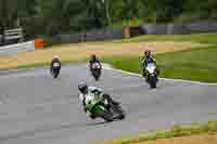 Lower Group Green Bikes
